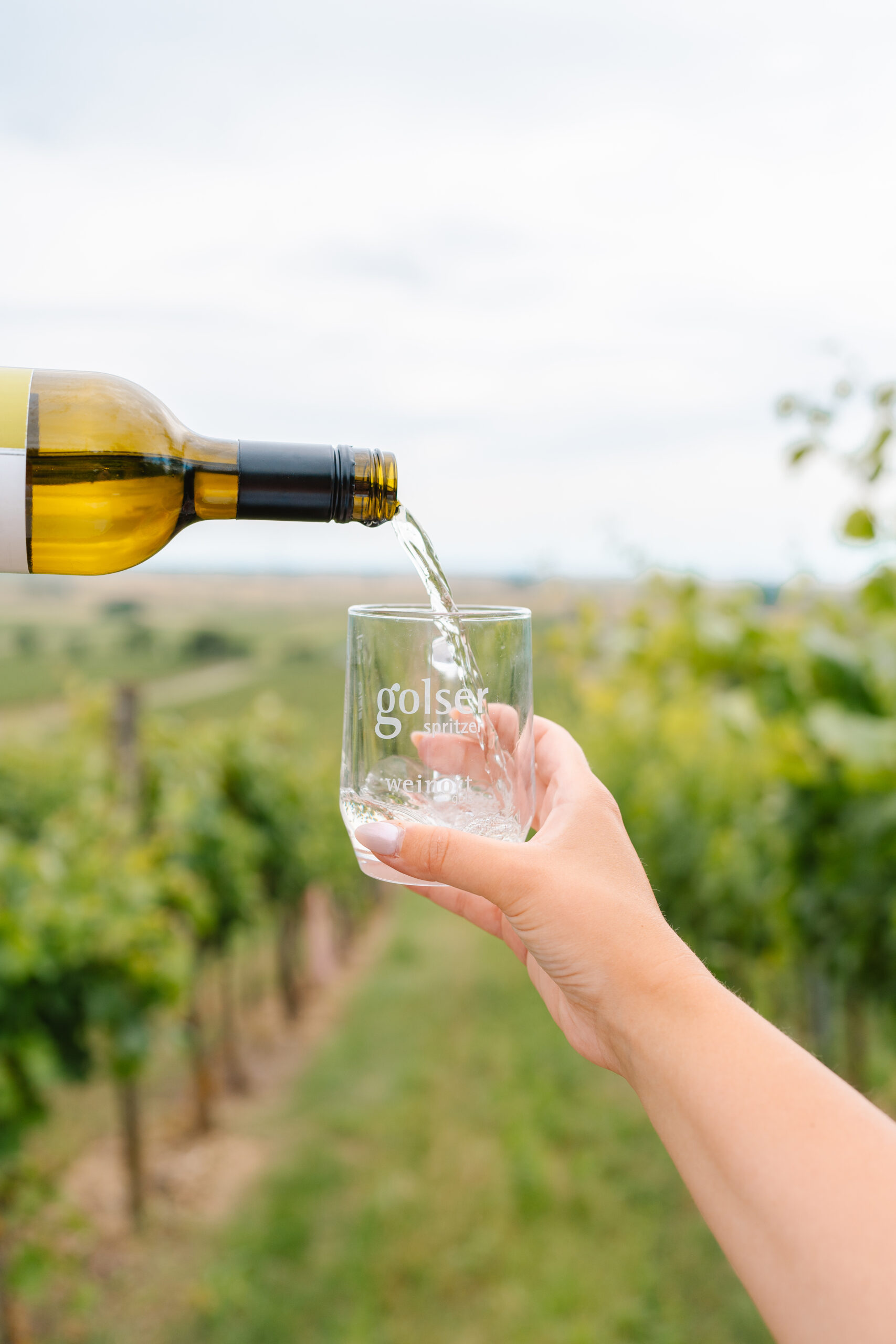 Winzerhof - Foto & Videopaket